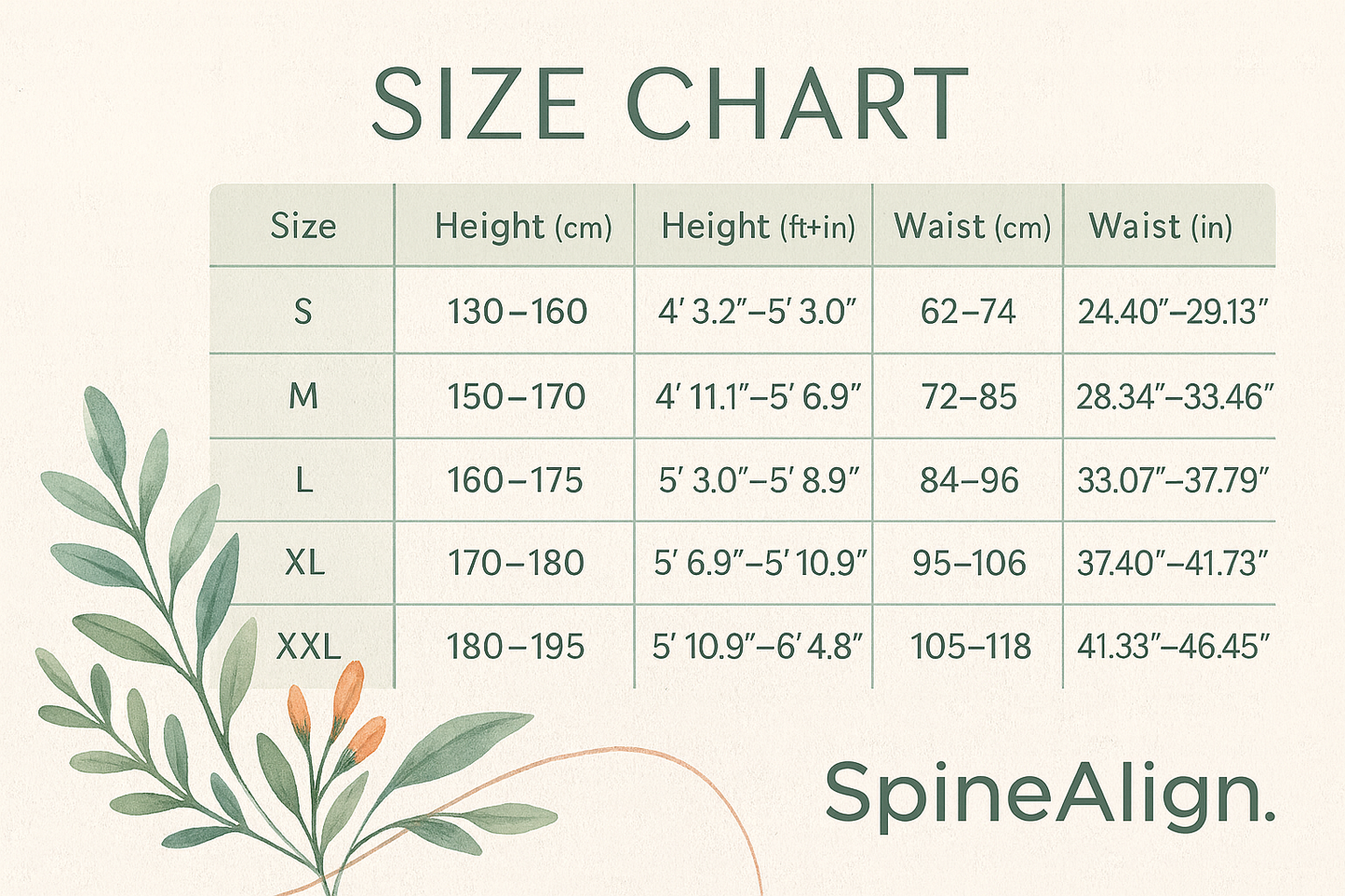 SpineAlign. Natural Posture Corrector